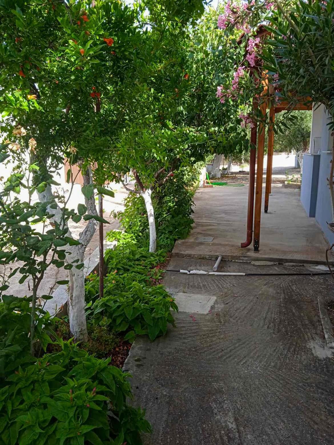Κυανή Ακτή - Agia Paraskevi Макри Экстерьер фото