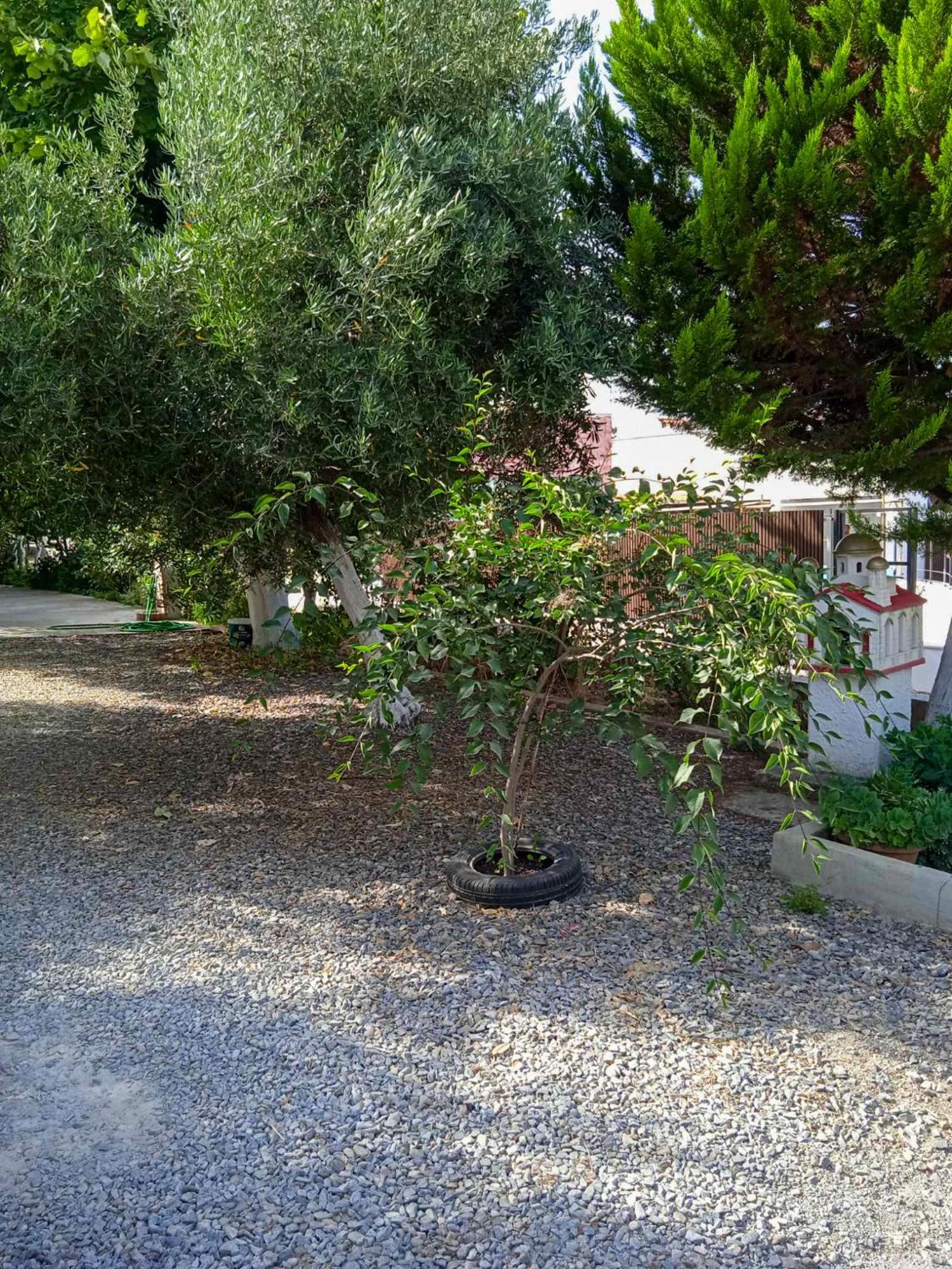 Κυανή Ακτή - Agia Paraskevi Макри Экстерьер фото